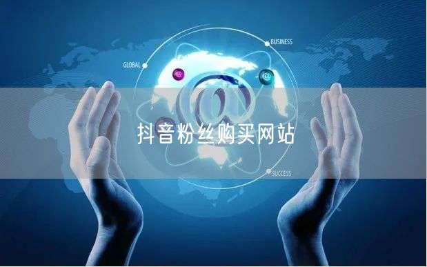 抖音粉丝购买网站