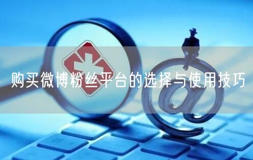 购买微博粉丝平台的选择与使用技巧