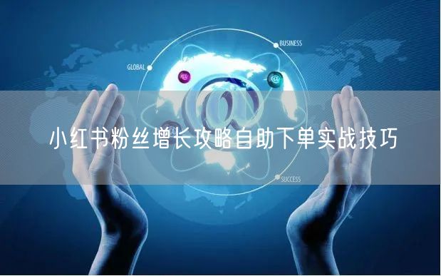 小红书粉丝增长攻略自助下单实战技巧