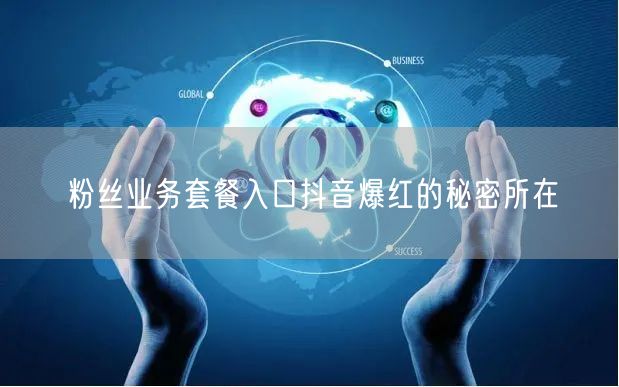 粉丝业务套餐入口抖音爆红的秘密所在
